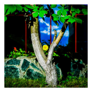 Poster Arbre à châtaignier