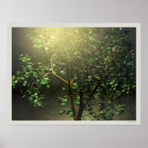 Poster Arbre à érable japonais 3D