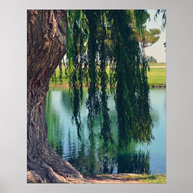 Poster Arbre à saule de pleurs 20" x 16" Papier d'affiche (Devant)