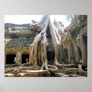 Poster Arbre Angkor