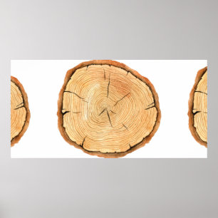 Poster Arbre anneaux. Aquarelle, illustration.