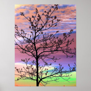 Poster Arbre arc-en-ciel Sky Barren