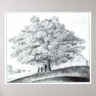 Poster Arbre creux chez Hampstead, 1663