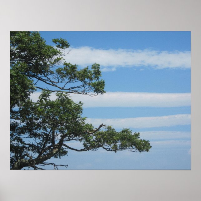 Poster Arbre dans les nuages (Devant)