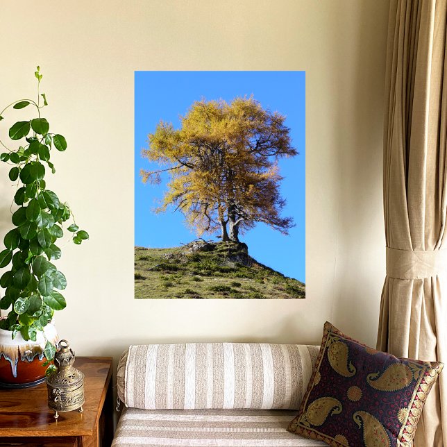 Poster Arbre d'automne (Créateur téléchargé)