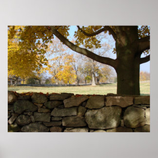 Poster Arbre d'automne et mur