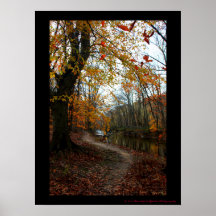 Arbre d'automne le long du chemin de vent