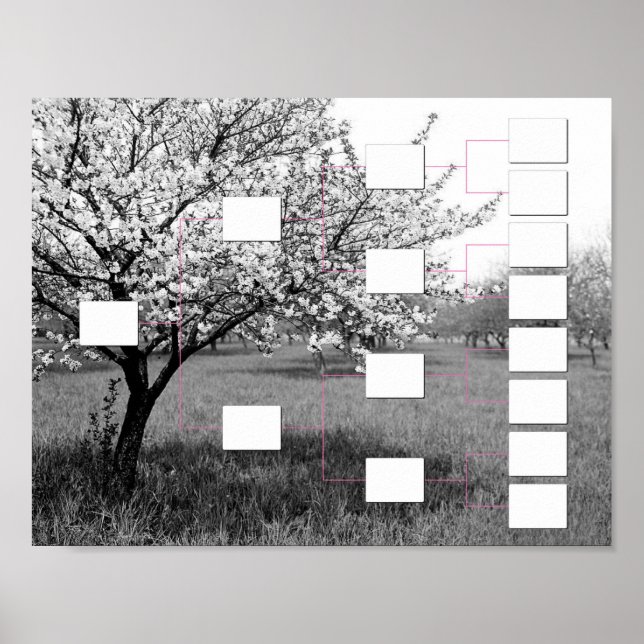 Poster Arbre de famille en floraison : graphique mural de (Devant)