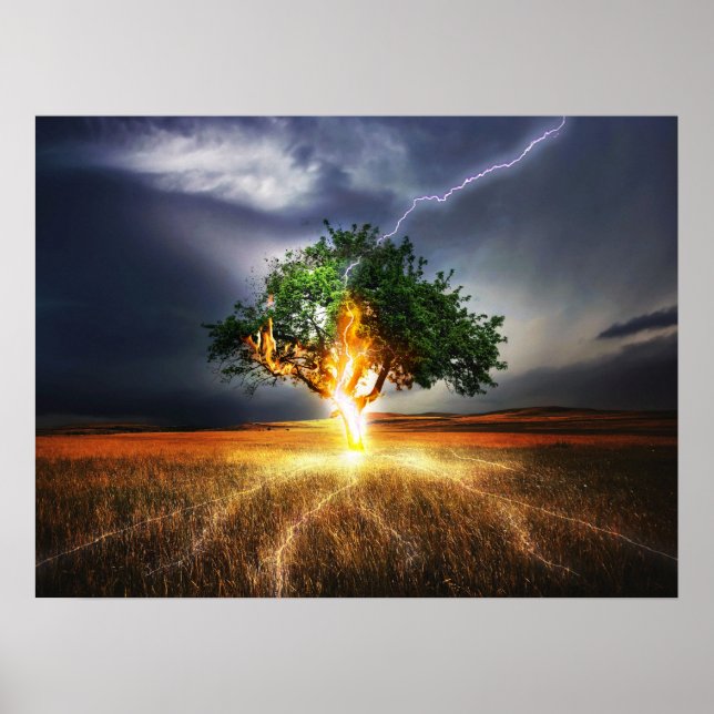Poster Arbre de frappe de la foudre (Devant)