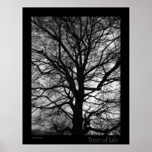 Poster Arbre de la vie