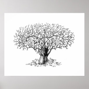 Poster Arbre de la vie - animaux