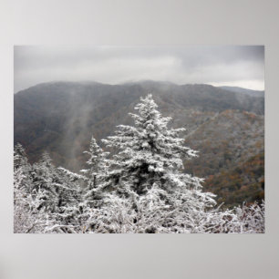 Poster Arbre de Milou