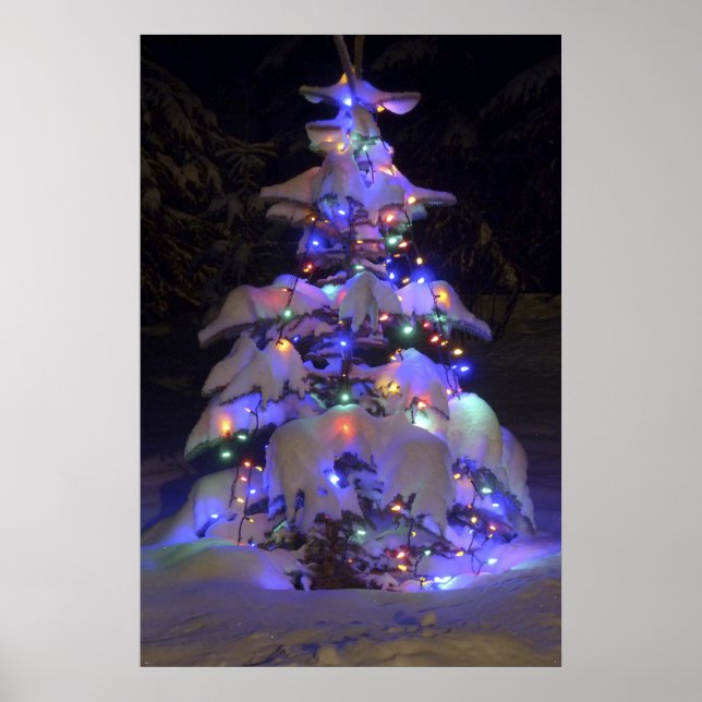 Poster Arbre de Noël couvert de neige brillante (Devant)