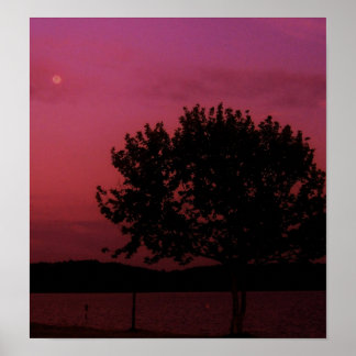 Poster Arbre de passion