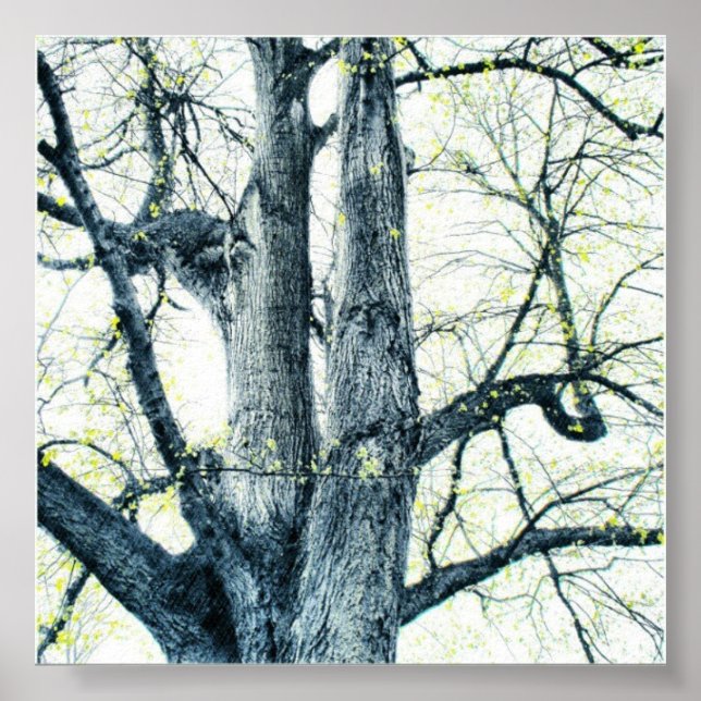 Poster Arbre de printemps (Devant)