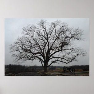 Poster Arbre de repaire de diables