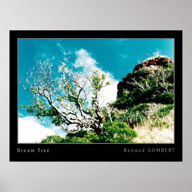 Poster Arbre de rêve (Devant)