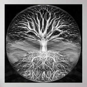 Poster Arbre de vie sérénité noir et blanc