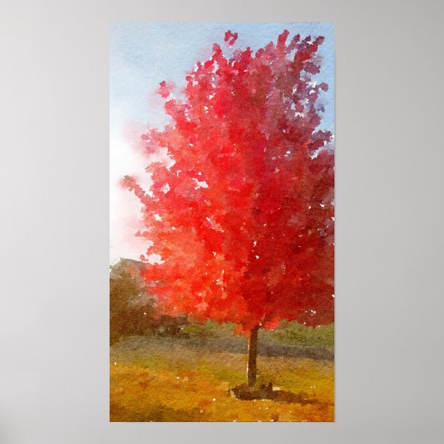 Poster Arbre d'érable d'automne en couleur, aquarelle (Devant)