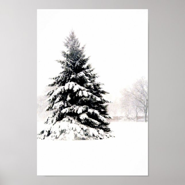 Poster Arbre d'hiver (Devant)