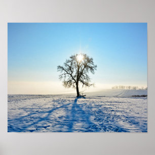 Poster Arbre d'hiver - -
