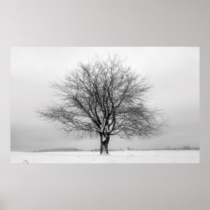 Poster arbre d'hiver