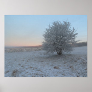 Poster Arbre d'hiver au lever du soleil