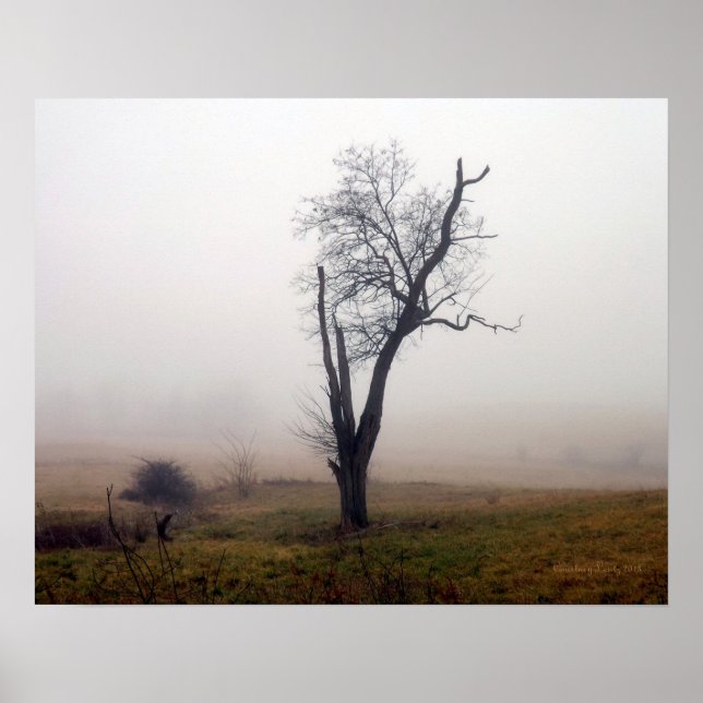 Poster Arbre d'hiver dans la prairie de Foggy #2 (Devant)
