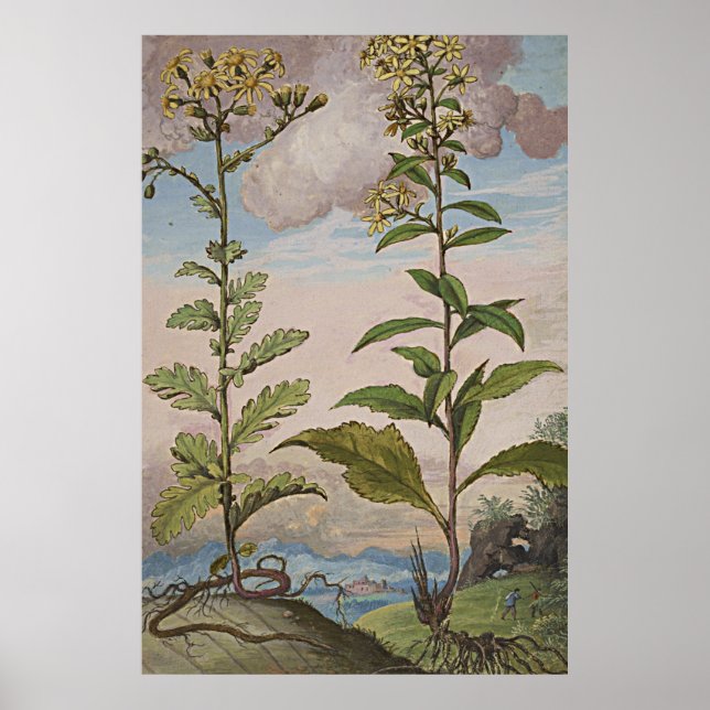 Poster Arbre d'or de l'art botanique antique (Devant)