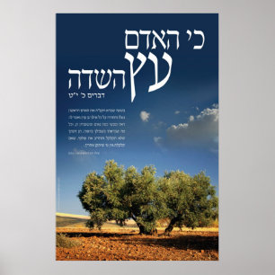 Poster Arbre du champ