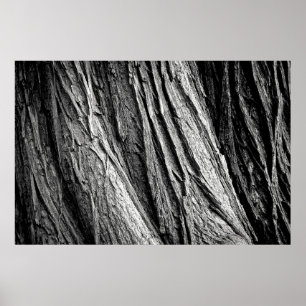 Poster Arbre écorce tribus bois