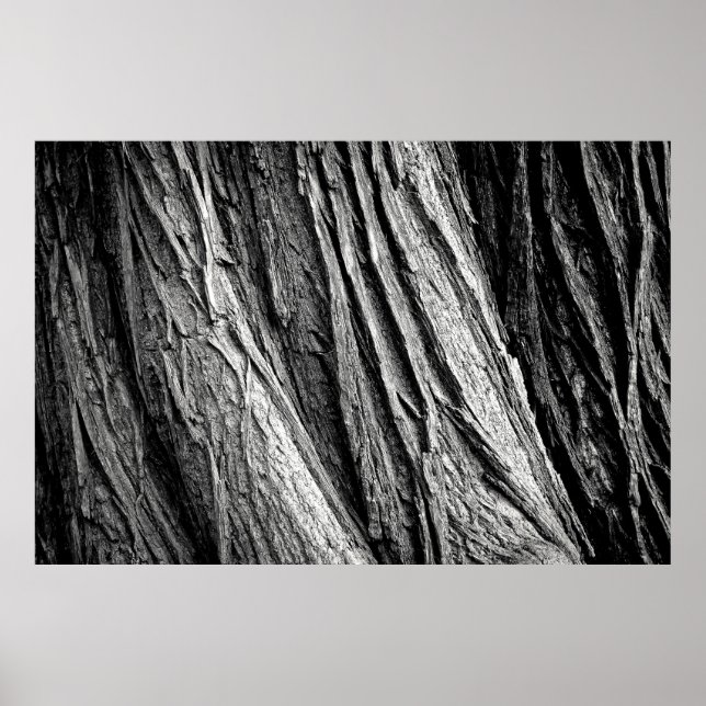 Poster Arbre écorce tribus bois (Devant)