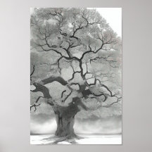 Arbre en nuances de gris