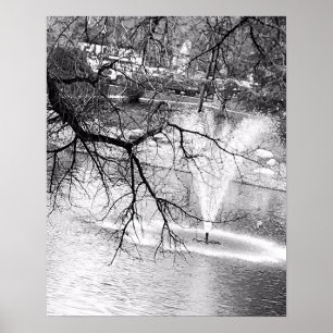 Poster Arbre et fontaine
