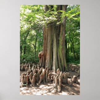 Poster Arbre et racines