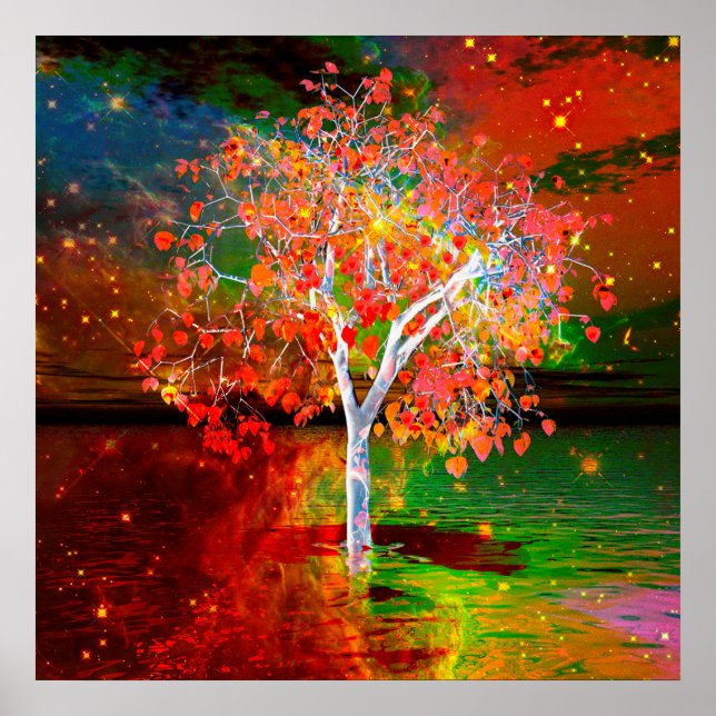 Poster Arbre étoile (Devant)