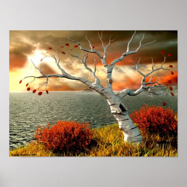 Poster Arbre face à l'océan (Devant)