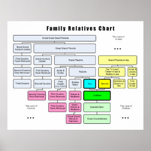 Poster Arbre familial général Organisation des familles