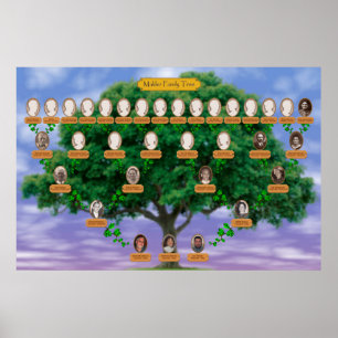 Poster Arbre familial Makler