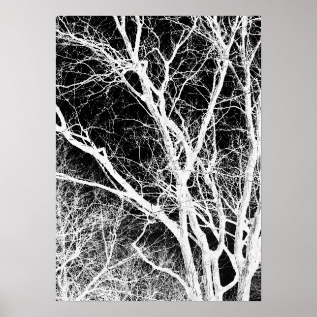 Poster arbre fantôme (Devant)