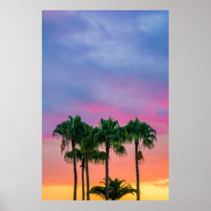 Poster Arbre feuille vert sous ciel bleu pendant l'or hou