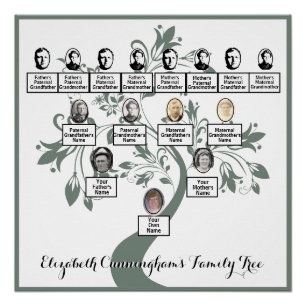 Poster Arbre Floral Green Silhouette Family Tree Photos