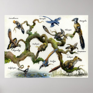 Poster Arbre généalogique de la famille des Dromaeosaurid