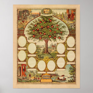 Poster Arbre Généalogique Vintage