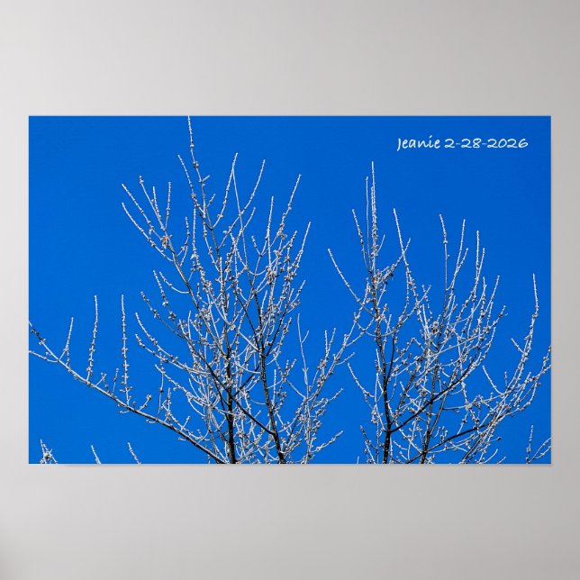 Poster Arbre givré (Devant)
