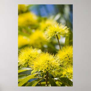Poster Arbre jaune vif