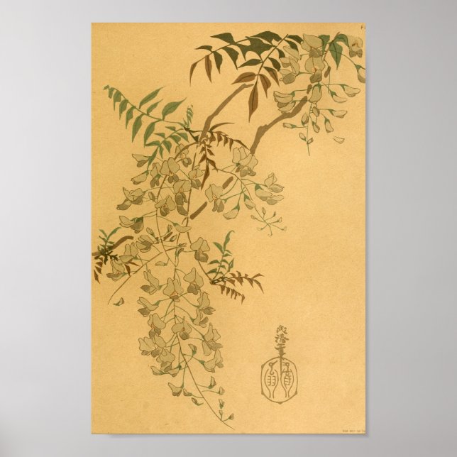 Poster Arbre murale japonaise vintage (Devant)