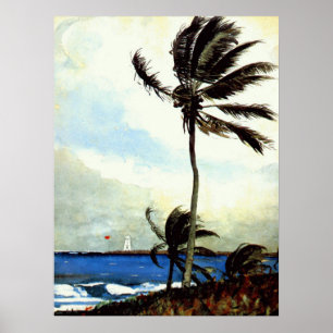 Poster "Arbre-Nassau'de paume