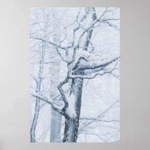 Poster Arbre neige congelé