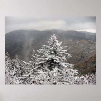 Poster Arbre neigeux